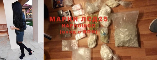 PSILOCYBIN Новокубанск